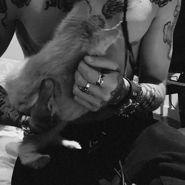 Zayn Malik, Shirtless Zayn Malik, Shirtless